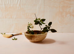 Kenzan For IKEBANA – ZAKKAsine